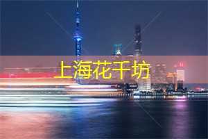 爱上海：上海南京路步行街美食