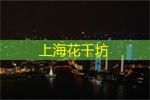 上海新茶工作室：视觉与味觉的双重盛宴！上海新茶工作室创造了品茶的全新维度！