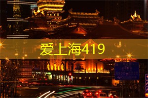 在夜生意盎然的集市中探险 在夜生意盎然的集市中探险