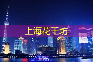 上海品茶网：上海的滑板运动新趋势分析
